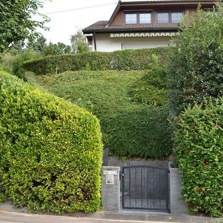 Ferienwohnung Kaiserstuhlblick تينْيِنغن المظهر الخارجي الصورة